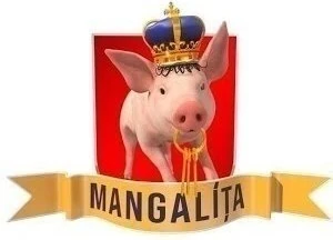 Mangalita S2.E 1 ∙ Mangalita curata Subtitrat in Romana